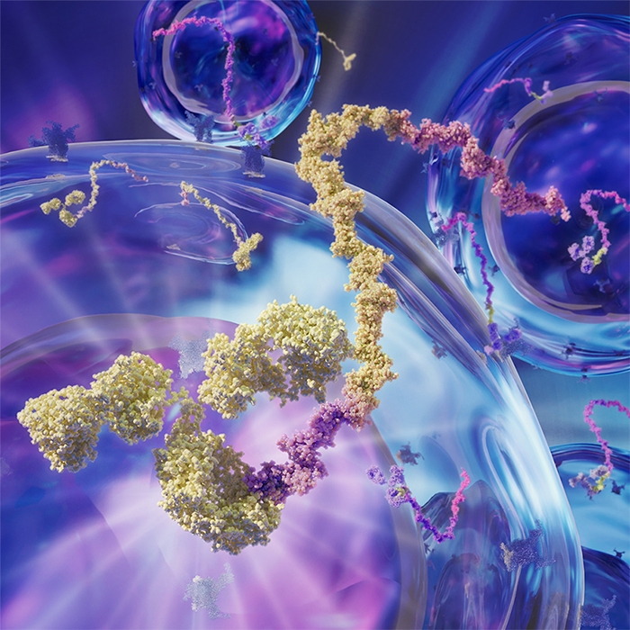 TotalSeq™ reagents