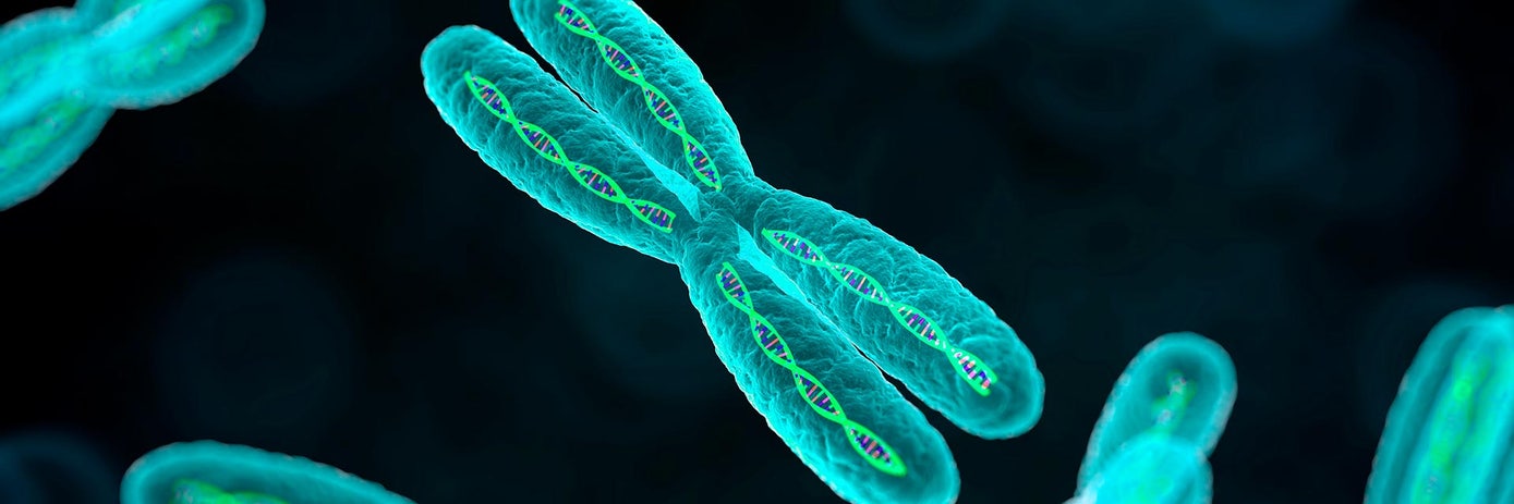 towards standardization generation of matched cell line derived reference material compatible with the vanadis nipt platform 1920x640