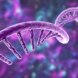 Revvity’s transcriptomics services. RNA molecule.