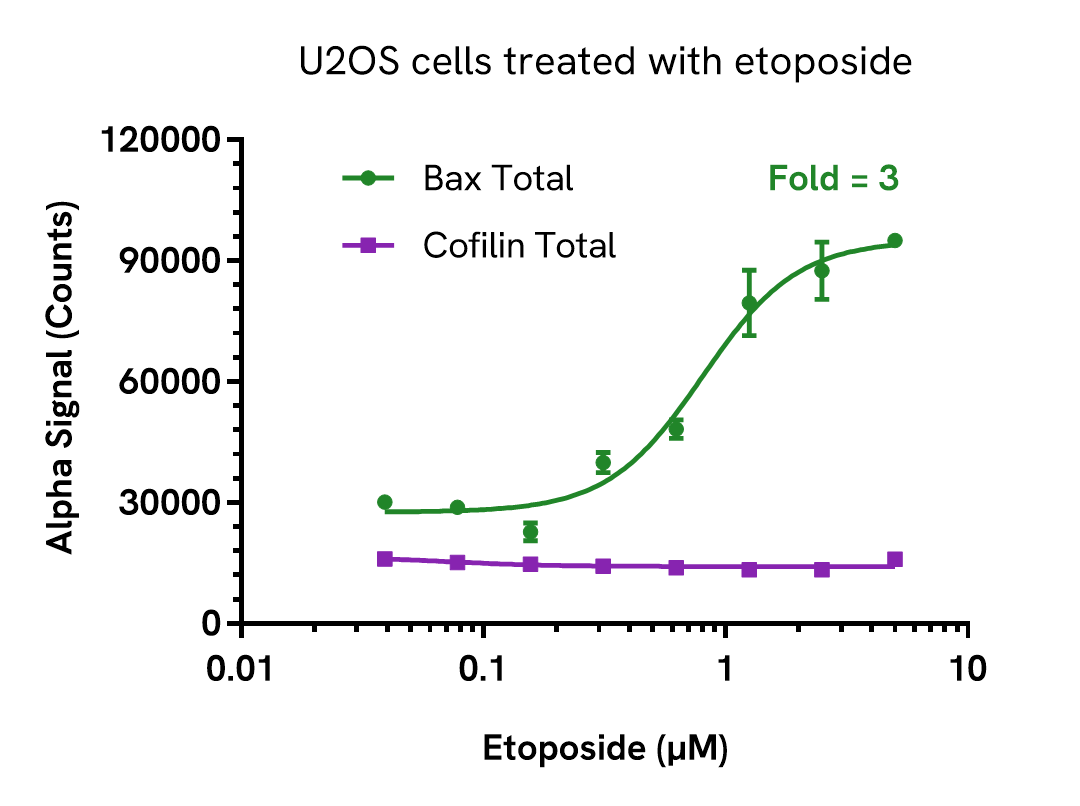 Pharmacological Validation (Activation) of Bax Total assay