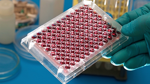 Automated LabChip workflow to enable HTP strain engineering | Revvity