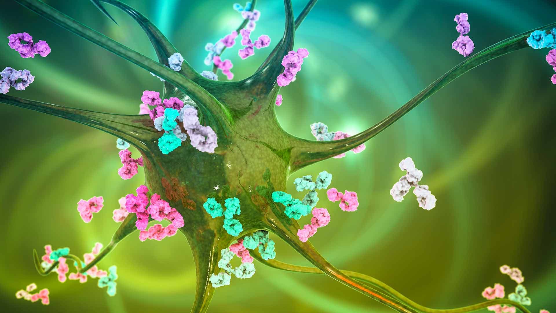Validating brain-penetrating nanobodies with HTRF GPCR second messenger and receptor binding assays.