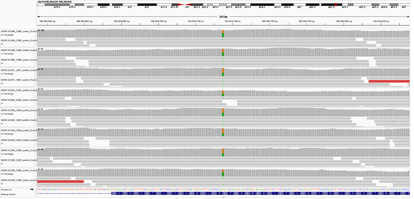 Visualization of rs1801516
