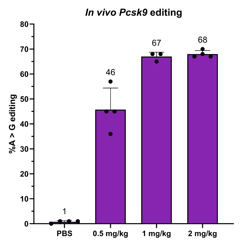 in vivo editing blog in content 1