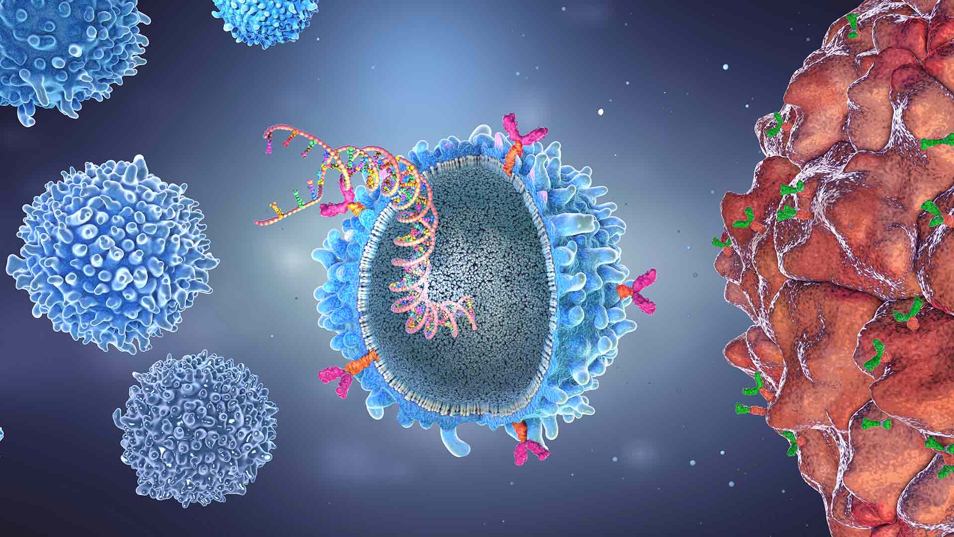 in vivo editing blog thumbnail