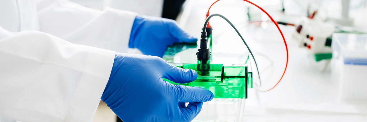 western blot hero