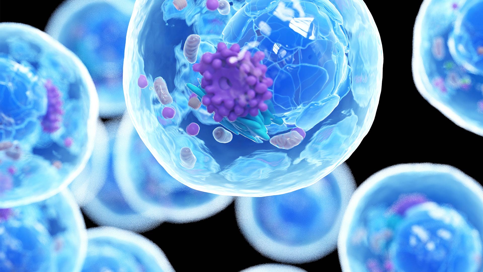 What is a Lab Homogenizer