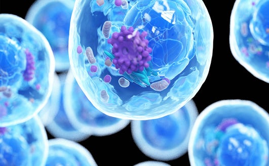 What is a Lab Homogenizer