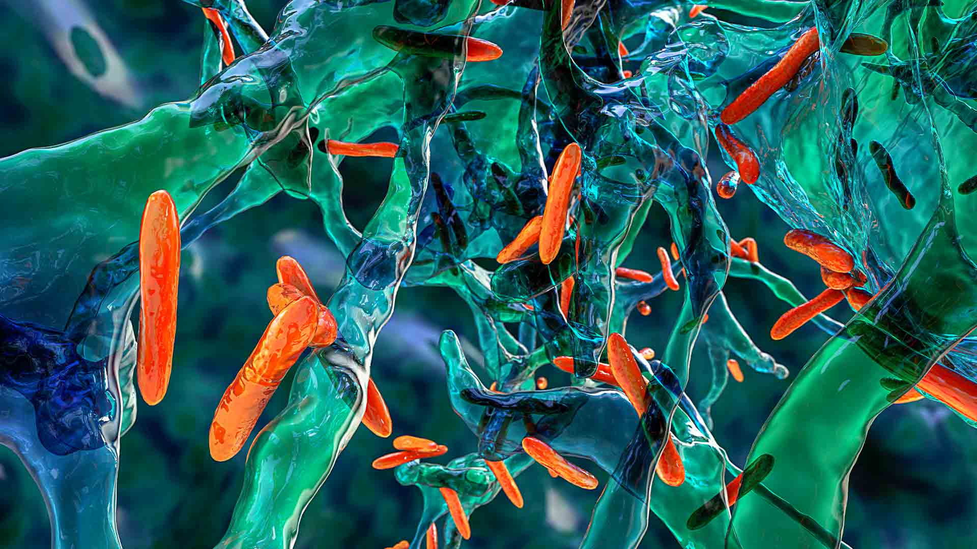 WHO Global Tuberculosis Report 2025