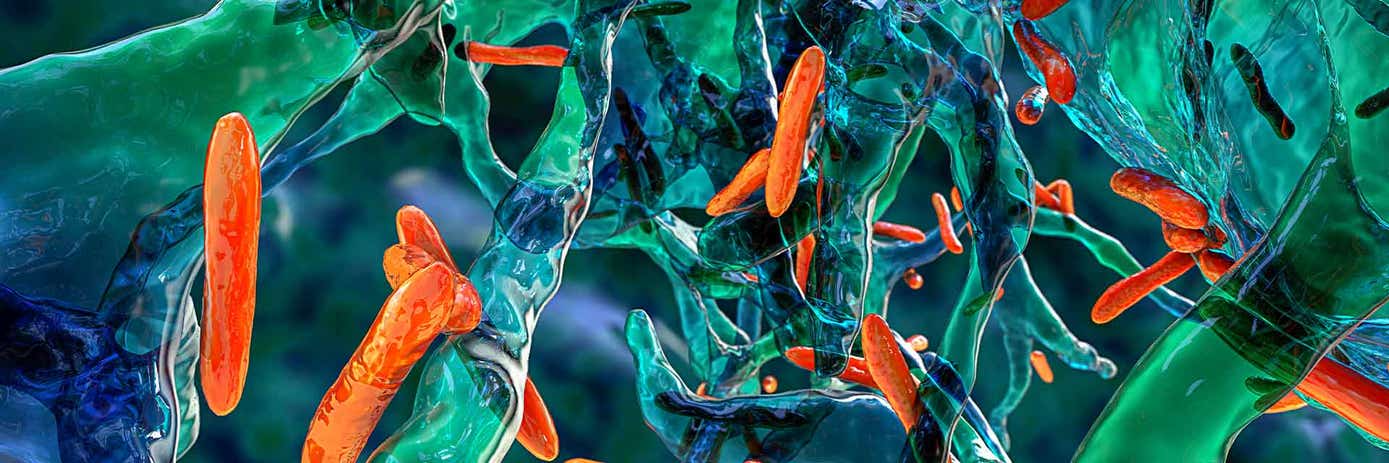 WHO Global Tuberculosis Report 2025