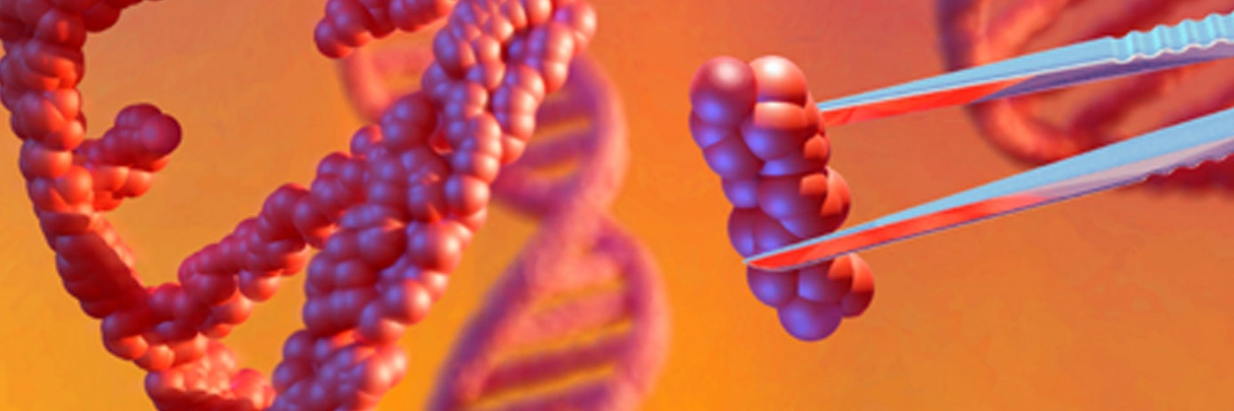 Finding the right technology for your genome engineering project