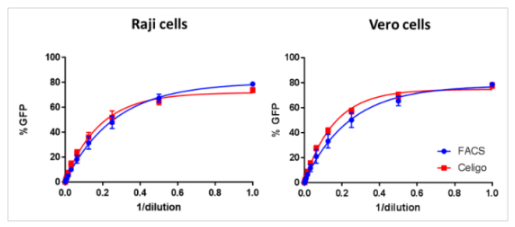 Zika viral titration with mKate2 fluorescent protein reporter-2