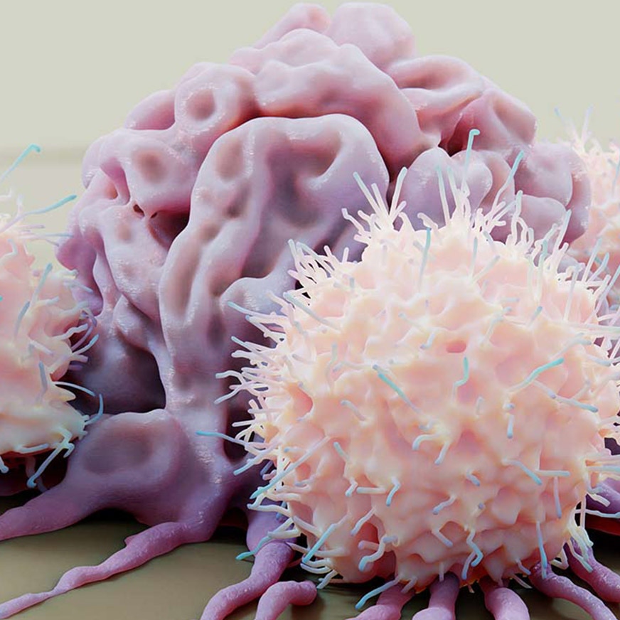 immuno-oncology reagents