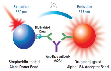 immunogency1.png