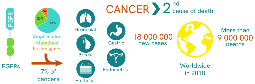 impact-fgfr-dysregulation-oncogenic-mechanisms-blog-image1