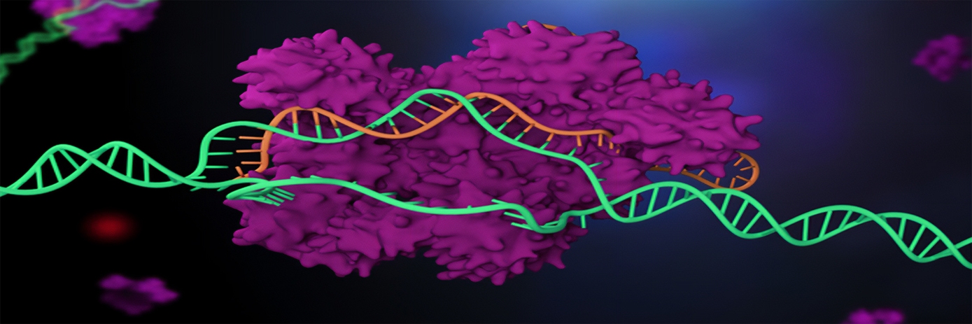 in-vitro-3d