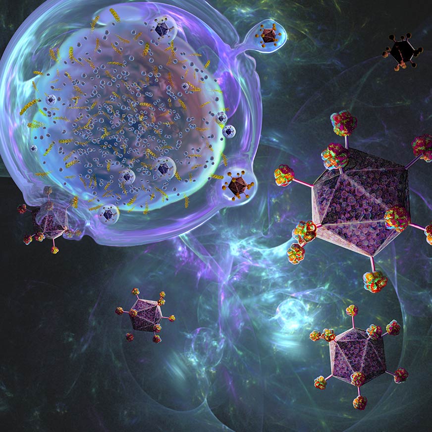 In Vivo Gene Therapy Solutions