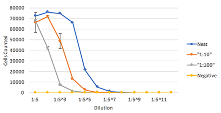 Influenza infected foci