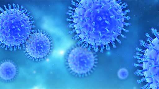 influenza-virus512