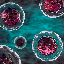 Comprehensive Cell Line Engineering Services | Revvity