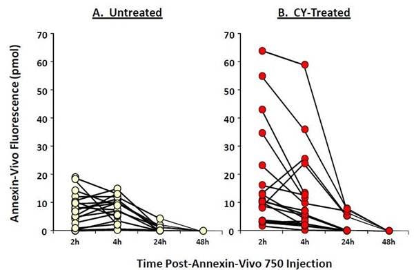 ivisense-annexin-v-fig