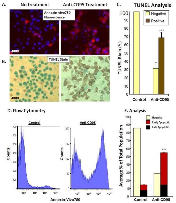 ivisense-annexin-v-fig