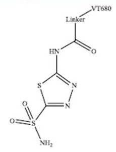 ivisense-hypoxia-ca-ix-fig1