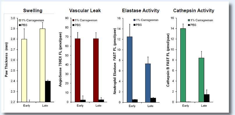 ivisense-neutrophil-elastase-fast-fig1