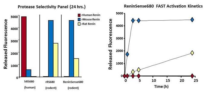 ivisense-renin-fast-fig2