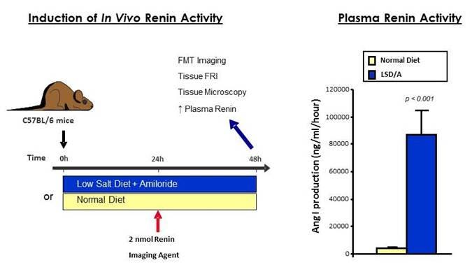 ivisense-renin-fast-fig3