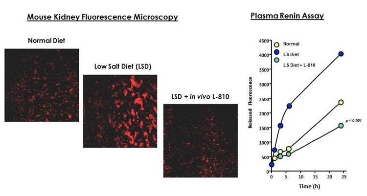 ivisense-renin-fast-fig6