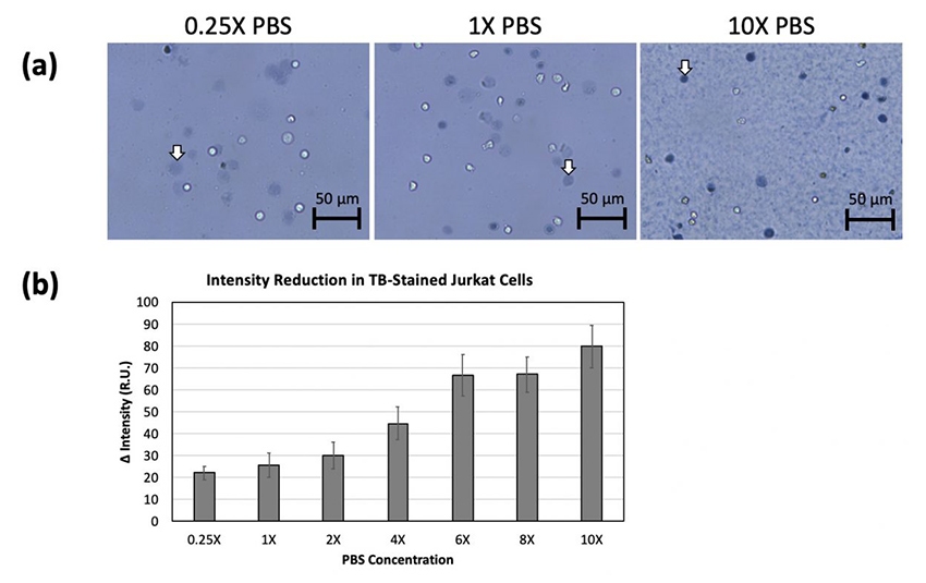 jurkat-cells-resuspended-in-pbs-fig5-850x535