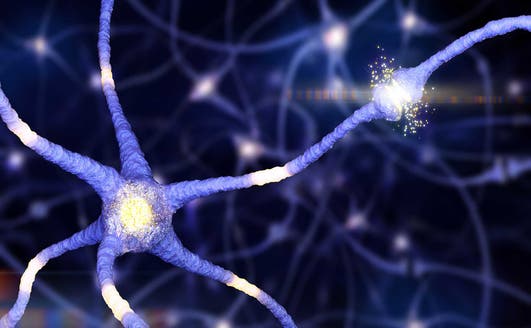 key-facts-neuroinflammation-alzheimer-disease-blog-hero