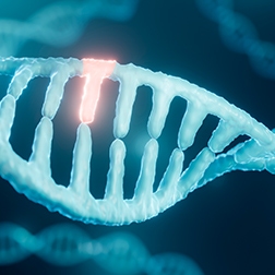 knock-in-base-editing252x252