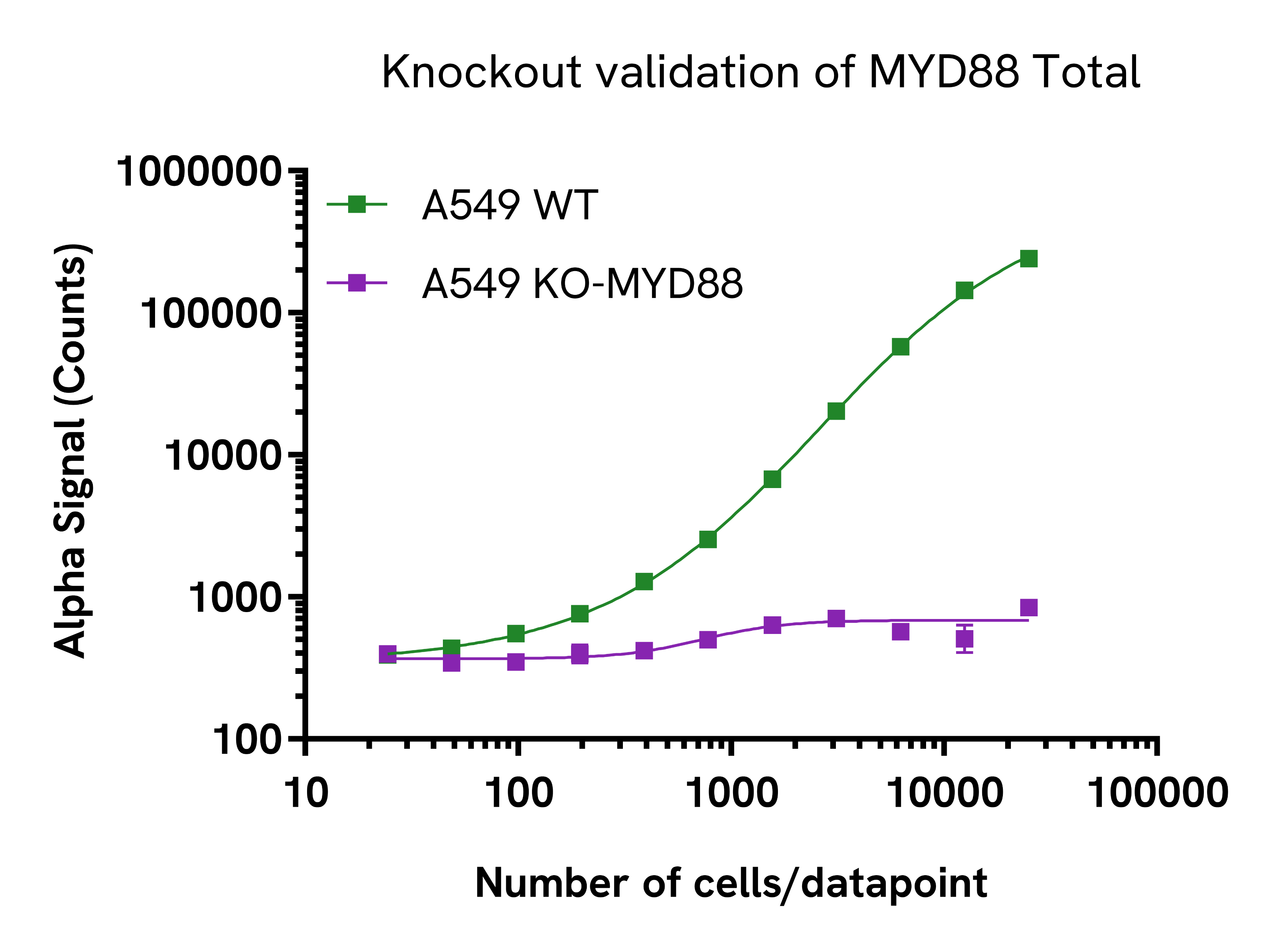 Knockout validation of MYD88 Total