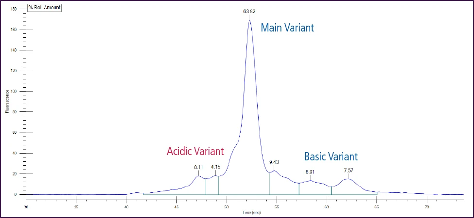 lab chip charge variant analysis assays fig1