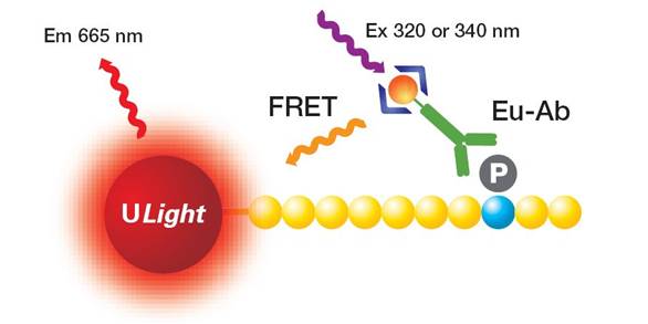 lance-and-lance-ultra-tr-fret-assays