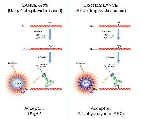 lance-classic-3-kinase-assay