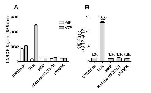 lance-kinase-assays-optimization