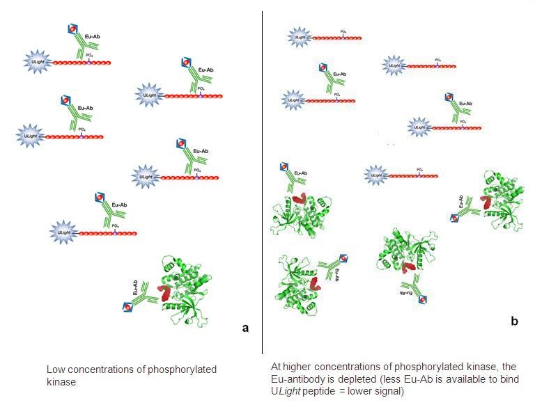 lance-kinase-assays-optimization