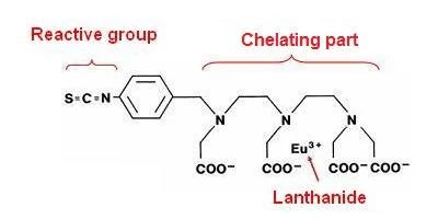 lance-reagent-fig1.png