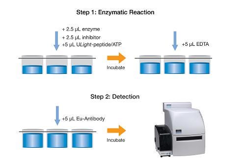 lance-ultra-kinase-assays