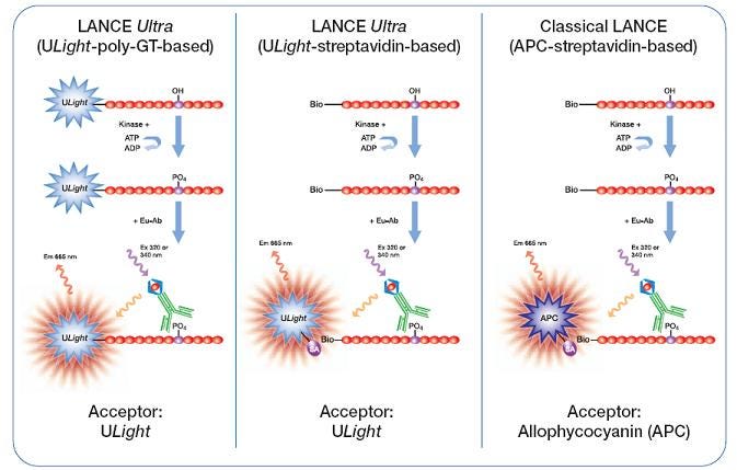 lance-ultra-kinase-assays