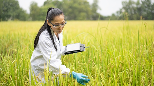 low-pass-whole-genome512x288