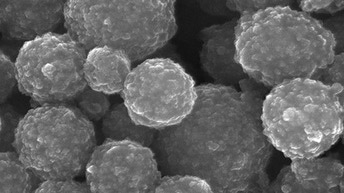 m-pva magnetic beads