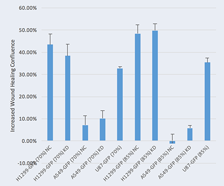 Mean increased wound healing percentage plot 1