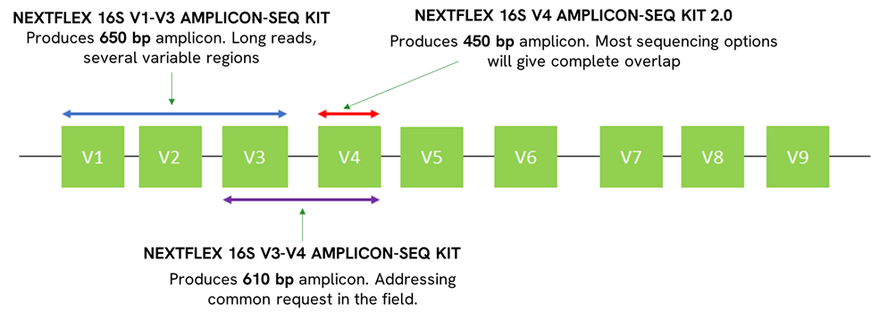 16s rrna sequencing microbiome