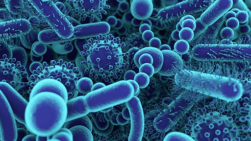 microbiome-research512