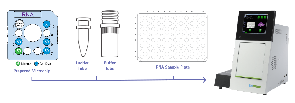 microfluidic capillary electrophoresis of small RNA