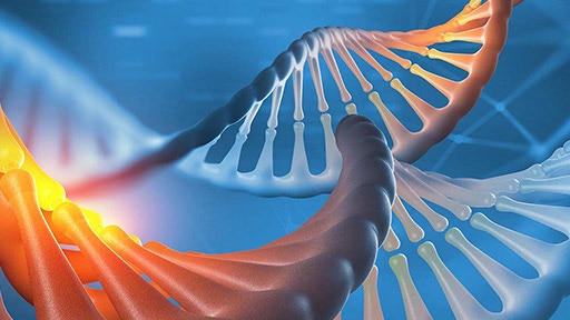 microfluidic-nucleic-acid-analysis-thumbnail-512x288.jpg